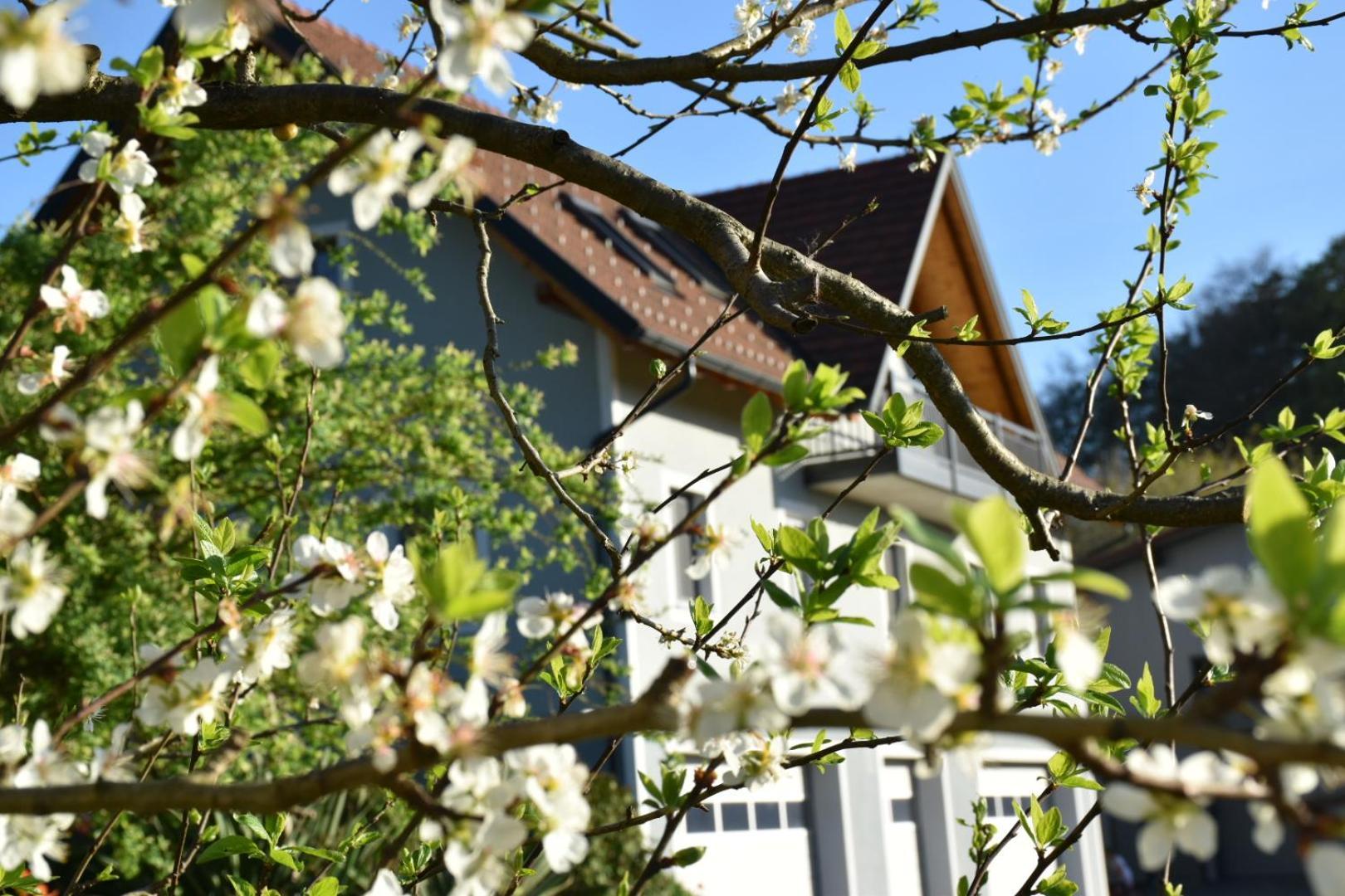 Ferienhaus Am Hof Zotter 里格斯堡 外观 照片